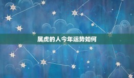 属虎的人今年运势如何(2023年属虎人财运旺盛但需注意健康问题)