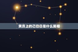 黄历上的己巳日是什么属相，什么是属相日？