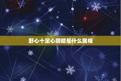 野心十足心阴暗是什么属相，表明自己没有野心的词语