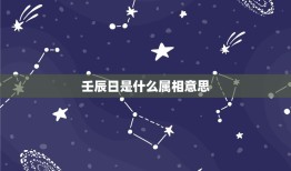 壬辰日是什么属相意思，壬辰日对应十二生肖