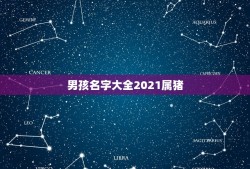 男孩名字大全2021属猪，高分，起名，属猪，男孩