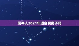 属牛人2021年适合买房子吗，2021年适合买房子吗