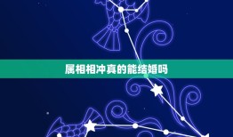 属相相冲真的能结婚吗，二个人生肖相冲真的不能结婚吗？