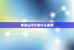 举目山河代表什么属相，举目山河什么意思