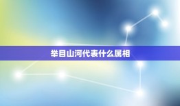 举目山河代表什么属相，举目山河什么意思