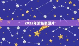 2022年波色表图片，2021香港十二生肖码表