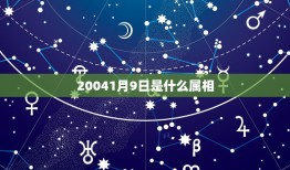 20041月9日是什么属相，公历1995年1月9日是属什么属相的？