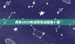 虎年2023年运势及运程易卜居(介绍运势大好财运亨通)