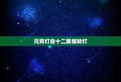 元宵灯会十二属相转灯，元宵灯会、春节庙会的风俗（可以复制），但要概括