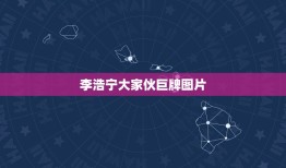 李浩宁大家伙巨牌图片，中国奥运代表团名单