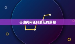 壬山丙向正针最旺的属相，壬山丙向分金什么度数最好？仙命己卯年