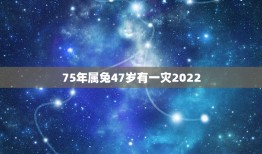 75年属兔47岁有一灾2022，属兔2022年谁都躲不过的劫难（属虎和