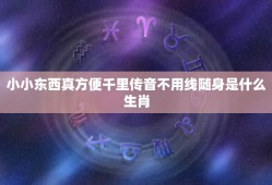 小小东西真方便千里传音不用线随身是什么生肖，小小东西真方便，千里传音不