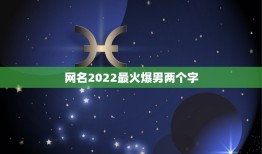 网名2022最火爆男两个字，2023最火网名男两个字