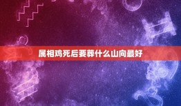 属相鸡死后要葬什么山向最好，人属什么鸡生肖死后葬坐什么方向比较好