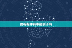 属相相冲有幸福例子吗，　两个生肖相冲的人在一起会幸福吗？