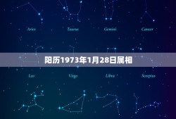 阳历1973年1月28日属相，公历1973年1月28号是什么星座