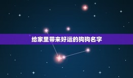 给家里带来好运的狗狗名字，小狗取什么名旺主人