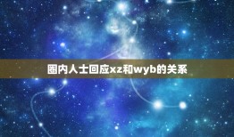 圈内人士回应xz和wyb的关系，Xzwyb是真的吗？