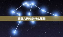 喜登九天七夕什么属相，喜登九天七夕会猜生肖