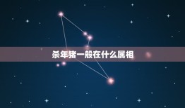 杀年猪一般在什么属相，在事业上属猪的和什么属相最和？