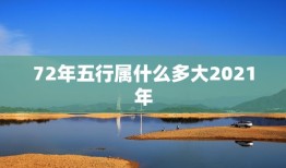 72年五行属什么多大2021年，2021年五行属什么