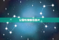 公园饥饿情侣图片，凌晨1点公园情侣凉亭内干柴烈火，我果断过去说了一句，