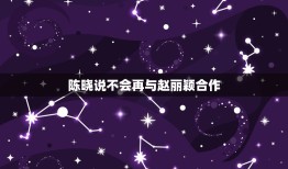 陈晓说不会再与赵丽颖合作，陈晓为什么说不再和赵丽颖拍情侣戏