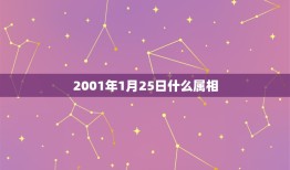 2001年1月25日什么属相，阳历2001年1月出生属相是什么？