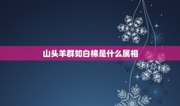 山头羊群如白棉是什么属相，花头棉羊是什么羊杂交的？