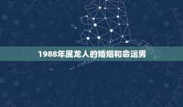 1988年属龙人的婚姻和命运男(如何应对婚姻挑战与命运变迁)