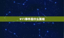 911事件是什么属相，什么是911事件