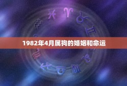 1982年4月属狗的婚姻和命运，1982年5月2 日属狗人出生月的命运