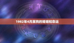 1982年4月属狗的婚姻和命运，1982年5月2 日属狗人出生月的命运