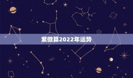 紫微算2022年运势 紫微命盘看2022年运势