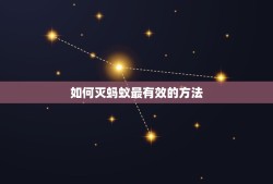 如何灭蚂蚁最有效的方法，灭蚂蚁什么方法最有效？