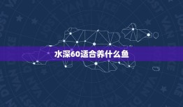 水深60适合养什么鱼，饲养金鱼水深多少合适