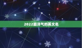 2022最洋气的英文名，2023年最热门的英文名