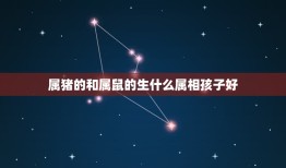 属猪的和属鼠的生什么属相孩子好，属鼠的和属猪的生什么属性的孩子好