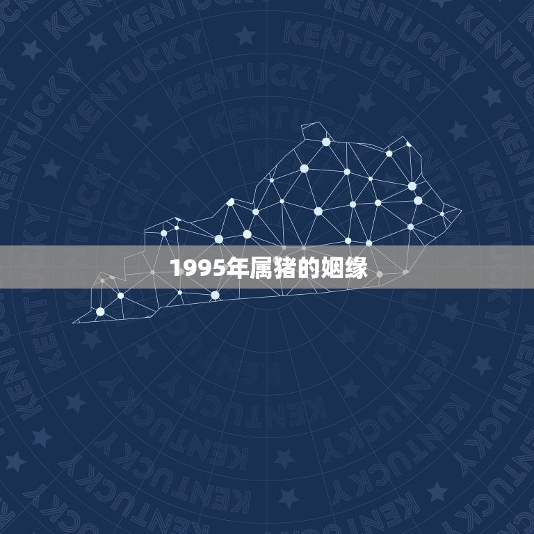 1995年属猪的姻缘，95年属猪与属猪的姻缘咋样