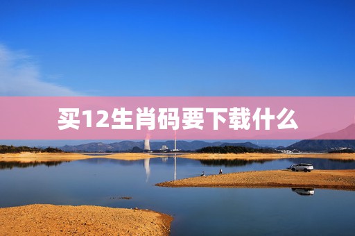 买12生肖码要下载什么，买码中的12生肖所对的号码是什么