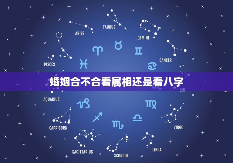 婚姻合不合看属相还是看八字，合婚要用八字还是用属相