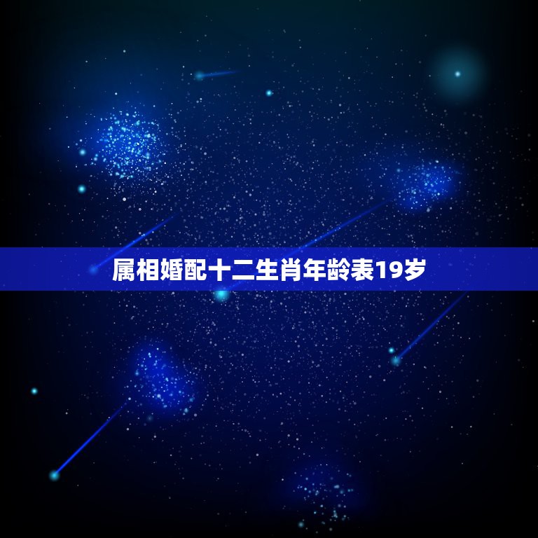 属相婚配十二生肖年龄表19岁，属猪的19和什么年龄的属相相合