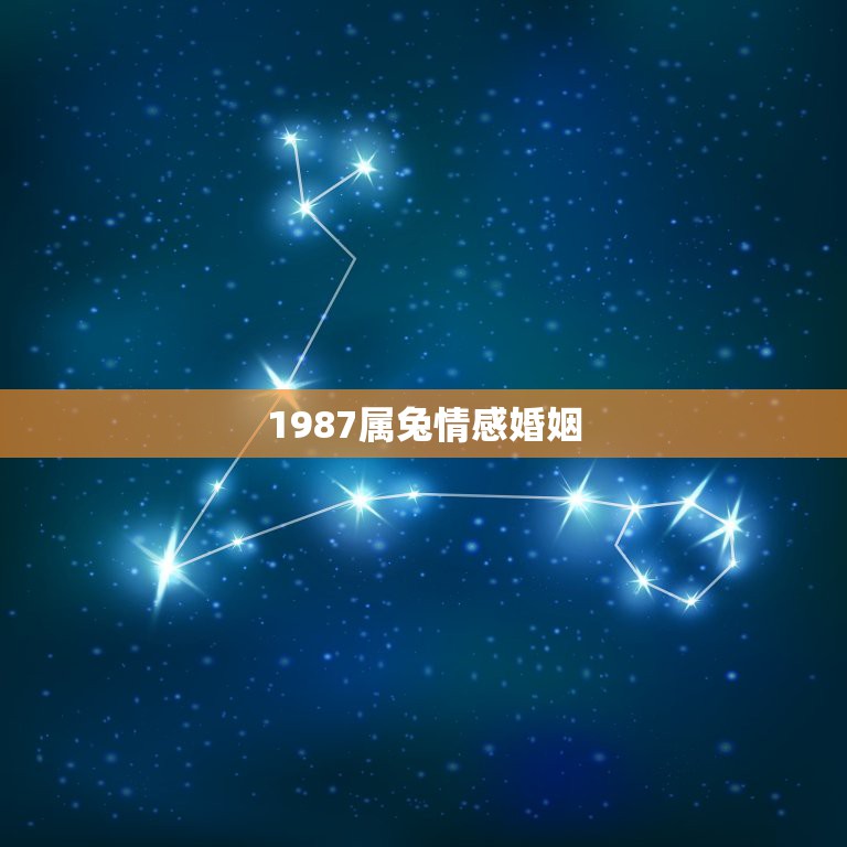 1987属兔情感婚姻，1987年属兔人的命运与婚姻