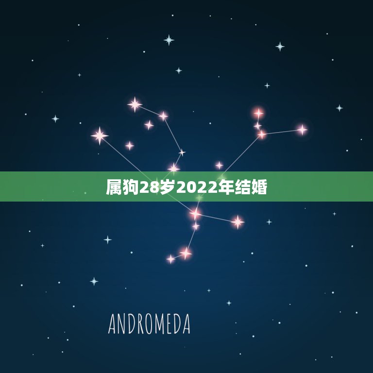 属狗28岁2022年结婚，28岁女孩！94年八月初九生日！属狗犯驳婚煞