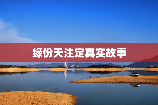 缘份天注定真实故事，《缘份天注定》简介