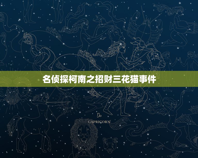 名侦探柯南之招财三花猫事件，请问名侦探柯南动画版从招财三花猫后篇后都有