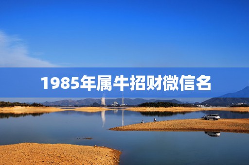 1985年属牛招财微信名，1985年属牛的招财数字