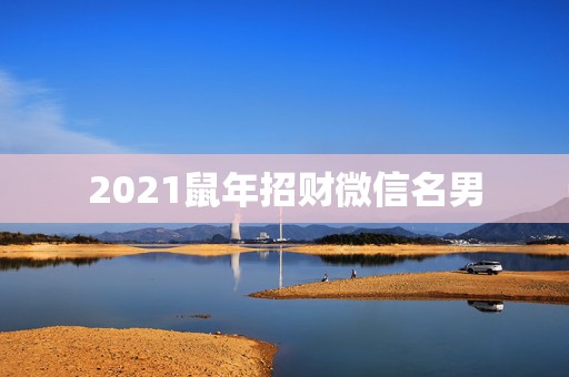 2021鼠年招财微信名男，什么头像招财