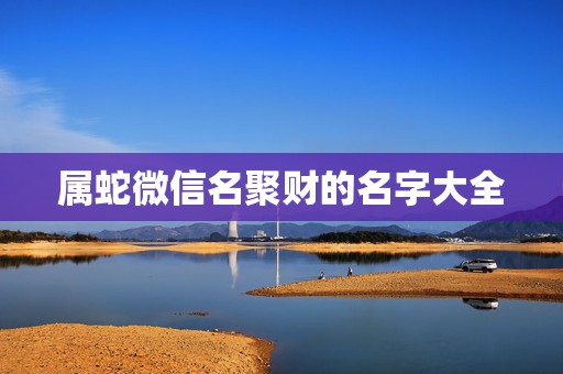 属蛇微信名聚财的名字大全，属蛇2021年最旺财的微信名字